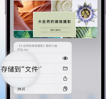 余干apple维修中心分享iPhone文件应用中存储和找到下载文件