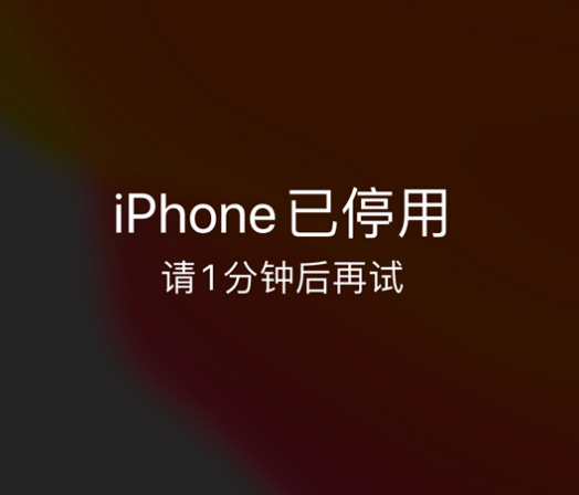 余干苹果手机维修分享:iPhone 显示“不可用”或“已停用”怎么办？还能保留数据吗？ 